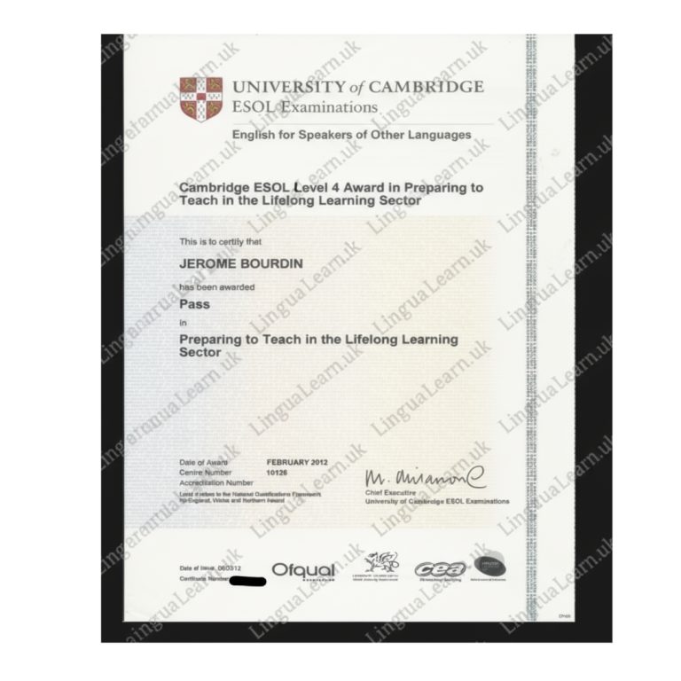 Certificate from the University of Cambridge for teaching in the learning sector.
